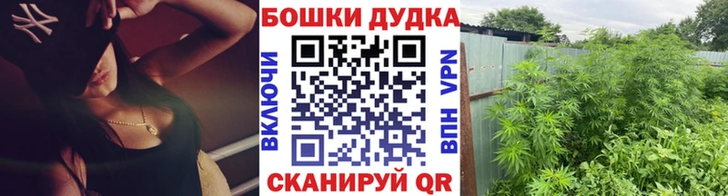 МЕГА ТОР  Микунь  Канабис SATIVA & INDICA  купить наркоту 